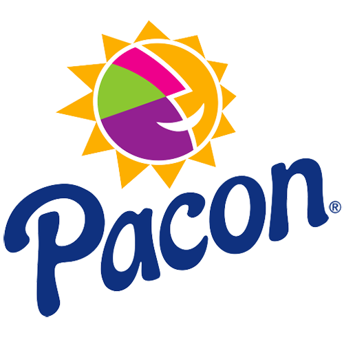 PCC - Pacon Brick Paper