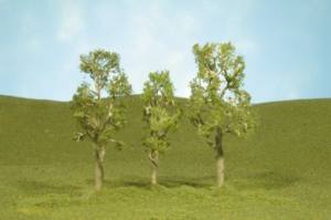 Aspen Trees 3''-4''/3pc