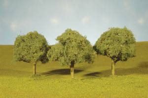 Oak Trees 2''-2.5''/4pc
