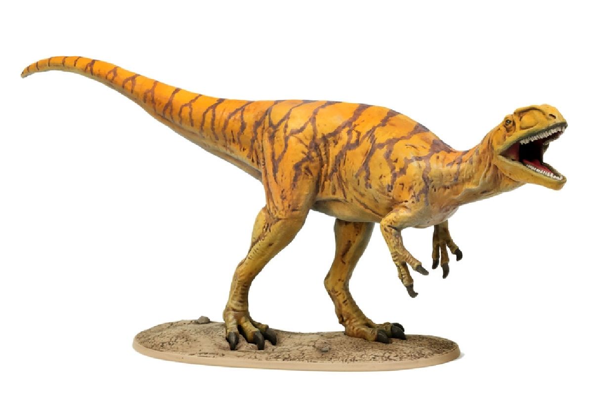 Awaiting product image